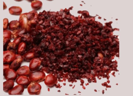 Sumac Berry Powder with fresh Sumac berries, showcasing its vibrant red colour and health-boosting properties