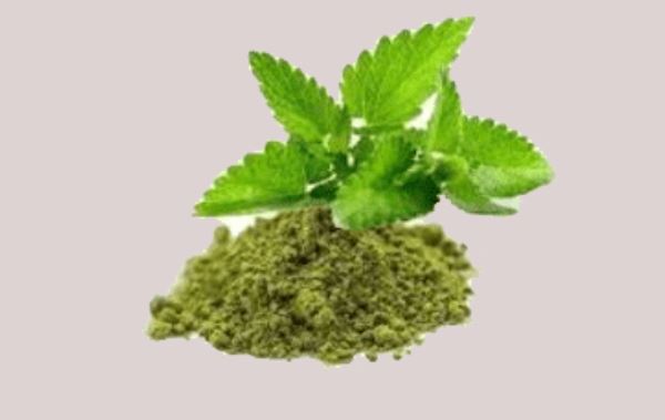 organic Tulsi powder surrounded by fresh Tulsi leaves, highlighting its natural and health-boosting properties.