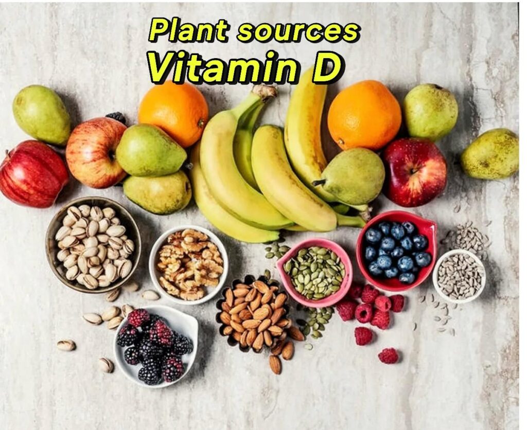 Variety of seeds and fruits, like sunflower seeds and avocados, contributing to overall health and Vitamin D absorption on a vegan diet