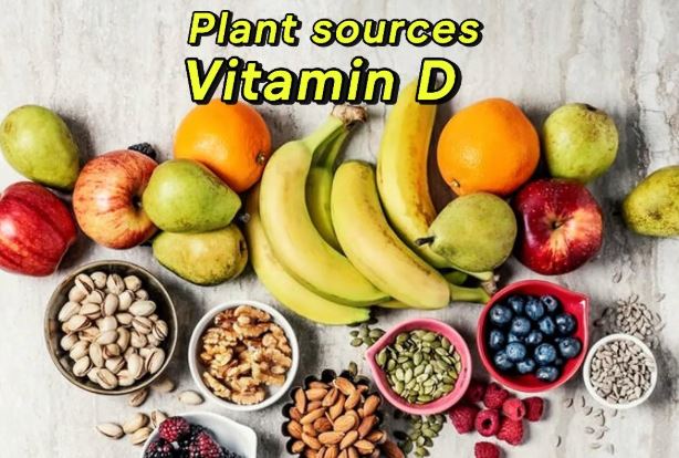 Variety of seeds and fruits, like sunflower seeds and avocados, contributing to overall health and Vitamin D absorption on a vegan diet