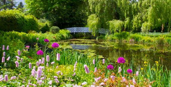 Serene garden reflecting calmness and mindfulness for stress relief