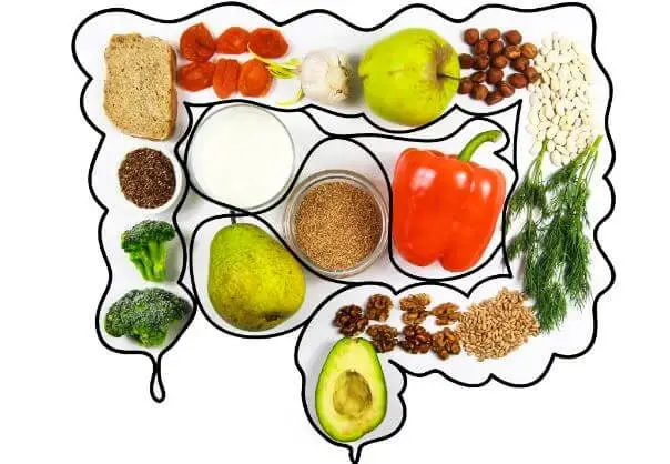 A variety of plant-based foods rich in fibre and nutrients, supporting gastrointestinal health and digestion.